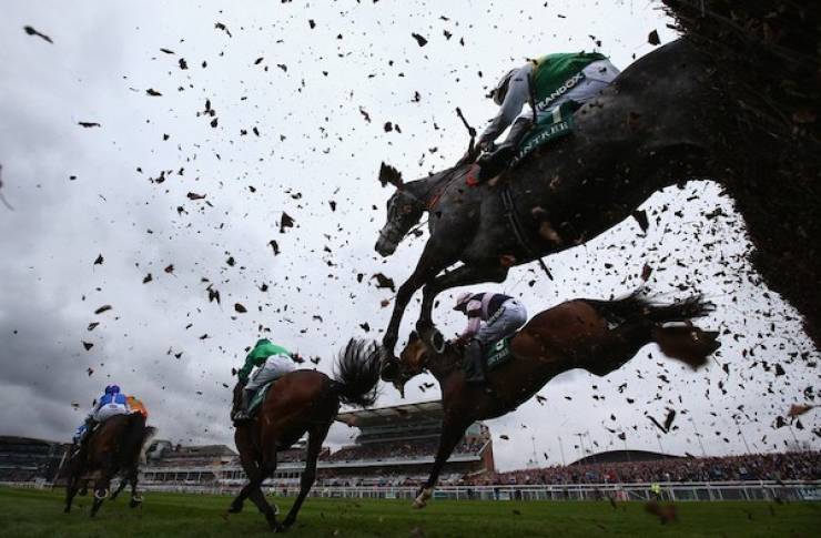 daily picdump 42 pics 21.html - 42 HD Photos | Premium Gallery 2026