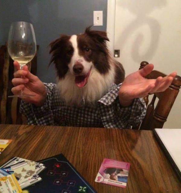 daily picdump 42 pics 21.html - 42 HD Photos | Premium Gallery 2026