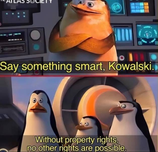 Extra Cheesy Memes to Brighten Your Day