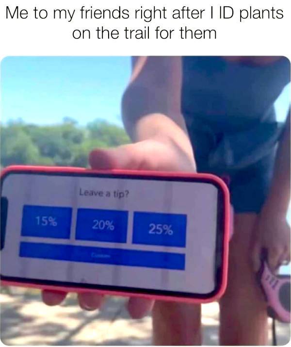 Extra Cheesy Memes to Brighten Your Day