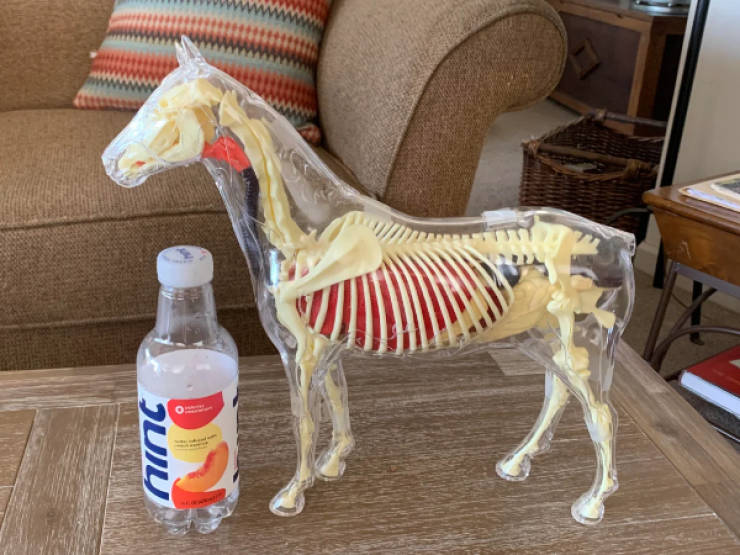 thrift shop treasures or total nightmares 32 pics 2.html - 32 HD Photos | Premium Gallery 2026