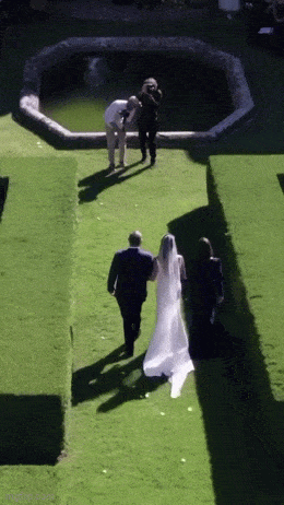 daily gifdump 50 gifs 10.html - 1 HD GIF | Premium Gallery 2026