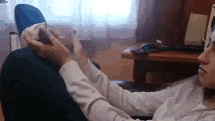 daily gifdump 50 gifs 10.html - 1 HD GIF | Premium Gallery 2026