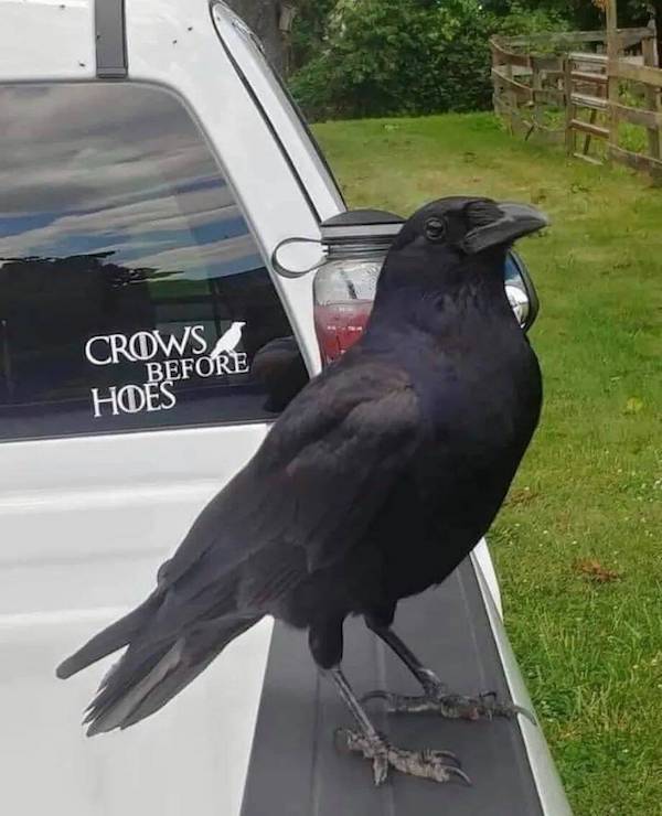 daily picdump 48 pics 6.html - 48 HD Photos | Premium Gallery 2026