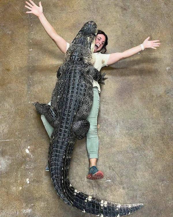 daily picdump 48 pics 6.html - 48 HD Photos | Premium Gallery 2026