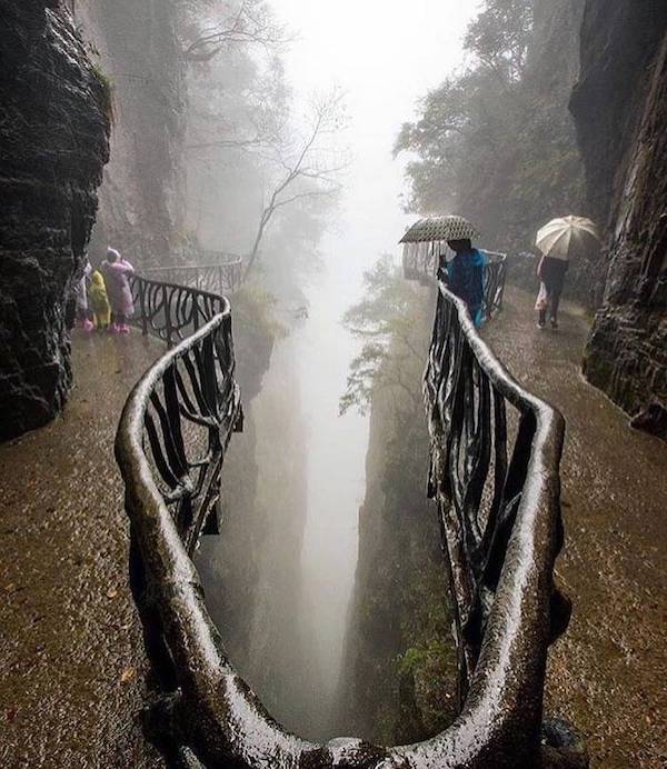 daily picdump 48 pics 6.html - 48 HD Photos | Premium Gallery 2026