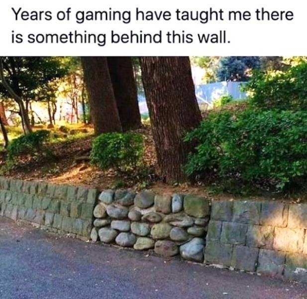 Not Smart… But Also Not Wrong