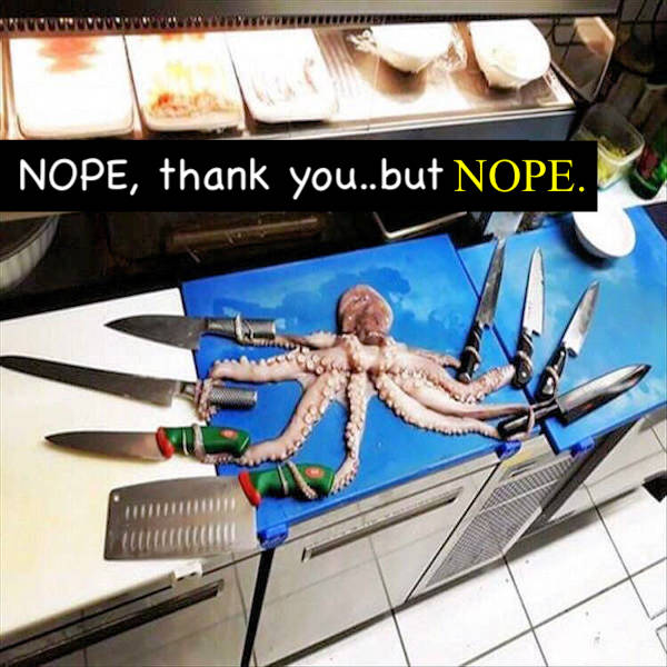 not smart but also not wrong 34 pics 12.html - 34 HD Photos | Premium Gallery 2026