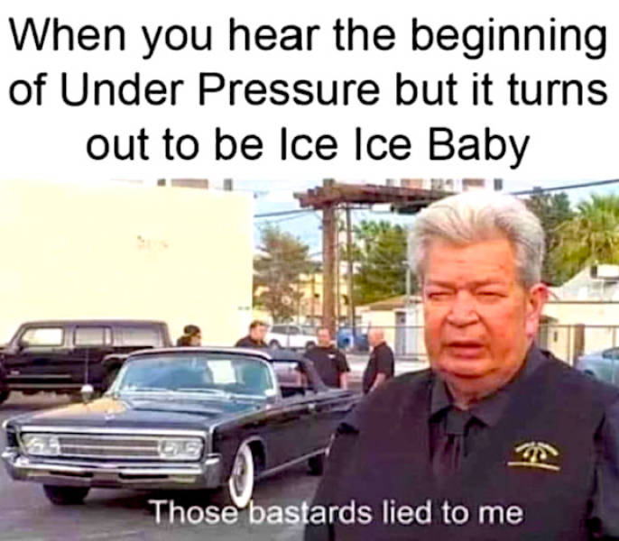 not smart but also not wrong 34 pics 12.html - 34 HD Photos | Premium Gallery 2026