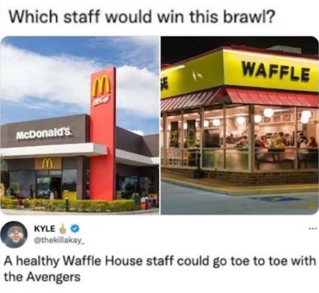 not smart but also not wrong 34 pics 12.html - 34 HD Photos | Premium Gallery 2026