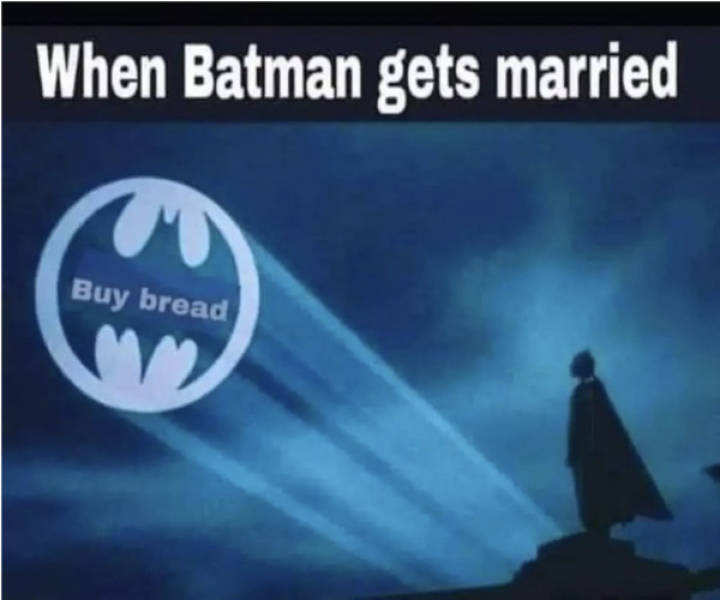 not smart but also not wrong 34 pics 12.html - 34 HD Photos | Premium Gallery 2026