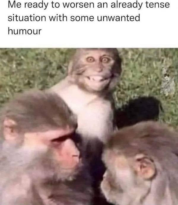 Not Smart… But Also Not Wrong