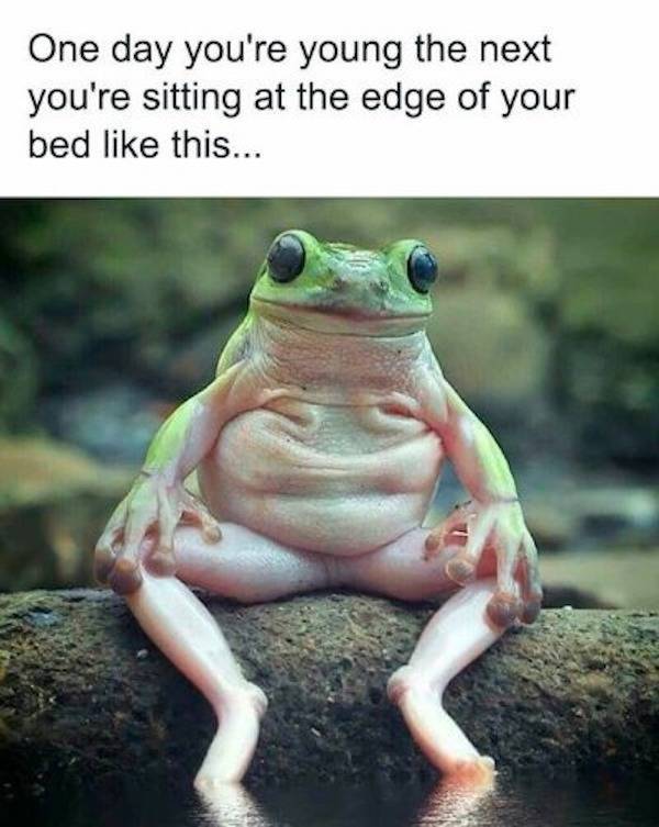 not smart but also not wrong 34 pics 12.html - 34 HD Photos | Premium Gallery 2026