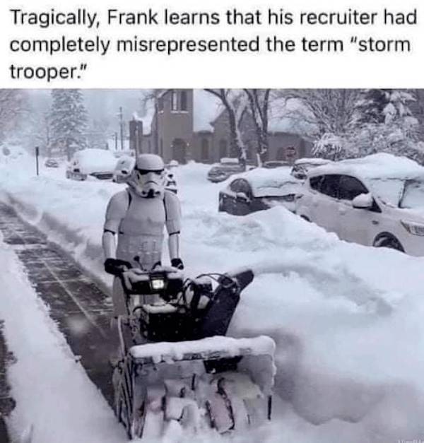 not smart but also not wrong 34 pics 12.html - 34 HD Photos | Premium Gallery 2026