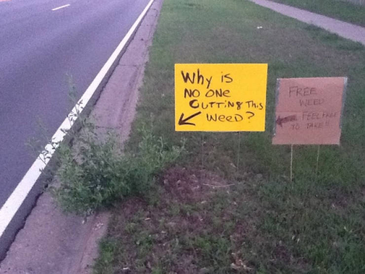 When a Picture Raises More Questions Than Answers