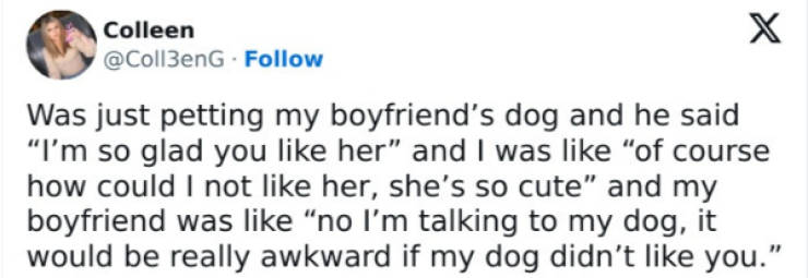 wholesome pictures that feel like a warm hug 30 pics 7.html - 30 HD Photos | Premium Gallery 2026