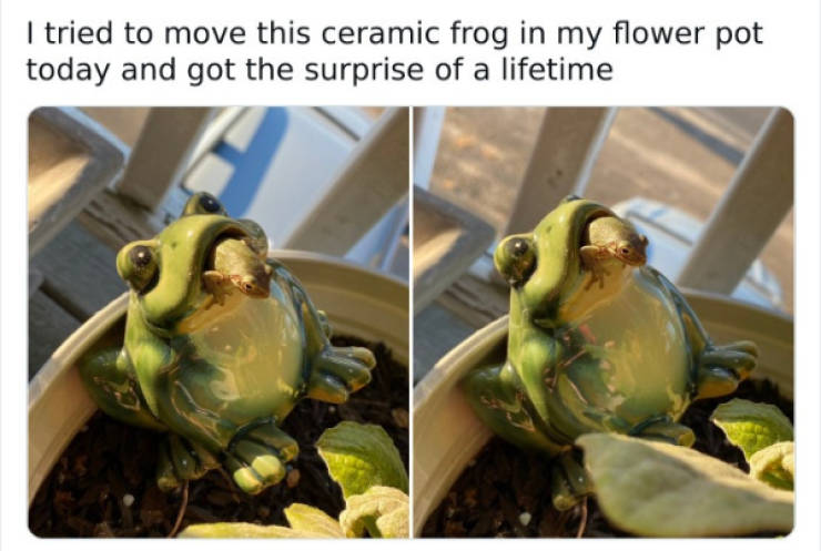 wholesome pictures that feel like a warm hug 30 pics 7.html - 30 HD Photos | Premium Gallery 2026