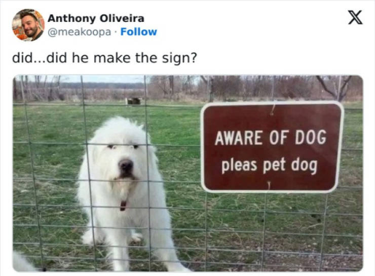 wholesome pictures that feel like a warm hug 30 pics 7.html - 30 HD Photos | Premium Gallery 2026