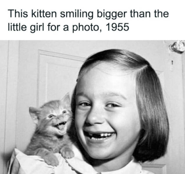 wholesome pictures that feel like a warm hug 30 pics 7.html - 30 HD Photos | Premium Gallery 2026