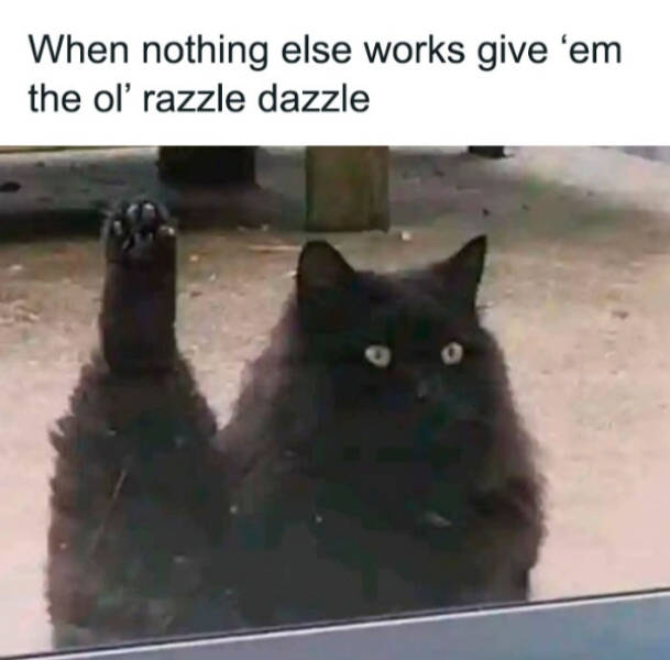 wholesome pictures that feel like a warm hug 30 pics 7.html - 30 HD Photos | Premium Gallery 2026