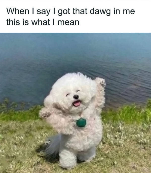 Wholesome Pictures That Feel Like a Warm Hug