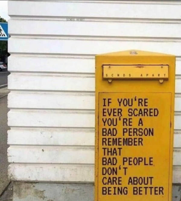 Wholesome Pictures That Feel Like a Warm Hug