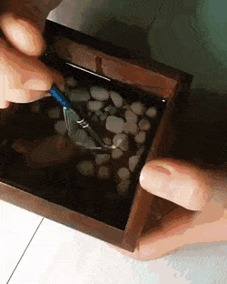 daily gifdump 48 gifs 6.html - 1 HD GIF | Premium Gallery 2026