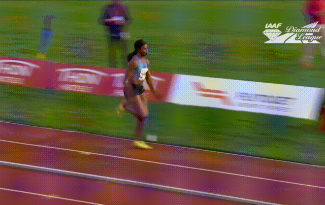 daily gifdump 48 gifs 6.html - 1 HD GIF | Premium Gallery 2026