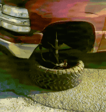 These Rides Are Built Different