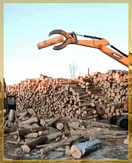 daily gifdump 49 gifs 10.html - 1 HD GIF | Premium Gallery 2026