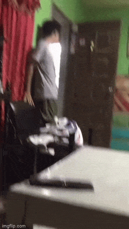 daily gifdump 49 gifs 10.html - 1 HD GIF | Premium Gallery 2026