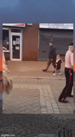 daily gifdump 49 gifs 10.html - 1 HD GIF | Premium Gallery 2026