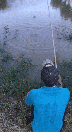 daily gifdump 49 gifs 10.html - 1 HD GIF | Premium Gallery 2026