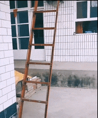 daily gifdump 49 gifs 10.html - 1 HD GIF | Premium Gallery 2026