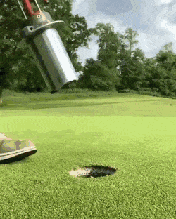 daily gifdump 49 gifs 10.html - 1 HD GIF | Premium Gallery 2026