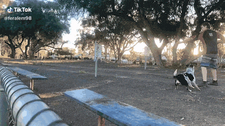 daily gifdump 49 gifs 10.html - 1 HD GIF | Premium Gallery 2026