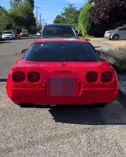 daily gifdump 49 gifs 10.html - 1 HD GIF | Premium Gallery 2026