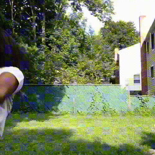 daily gifdump 49 gifs 10.html - 1 HD GIF | Premium Gallery 2026