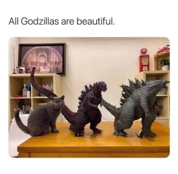 cats being absolute weirdos 37 pics 8.html - 37 HD Photos | Premium Gallery 2026