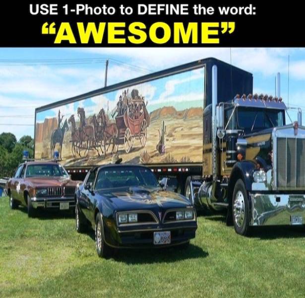 wisdumb memes at maximum capacity 37 pics 14.html - 37 HD Photos | Premium Gallery 2026