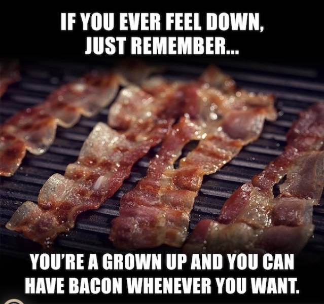 wisdumb memes at maximum capacity 37 pics 14.html - 37 HD Photos | Premium Gallery 2026