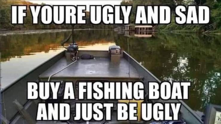 wisdumb memes at maximum capacity 37 pics 14.html - 37 HD Photos | Premium Gallery 2026