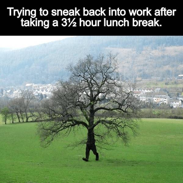 wisdumb memes at maximum capacity 37 pics 14.html - 37 HD Photos | Premium Gallery 2026