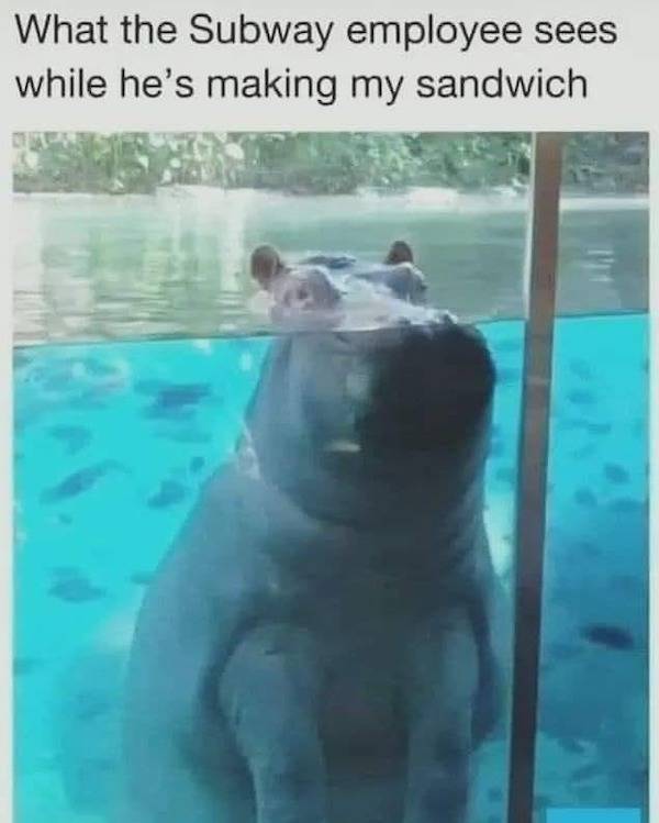 Wis-DUMB Memes at Maximum Capacity