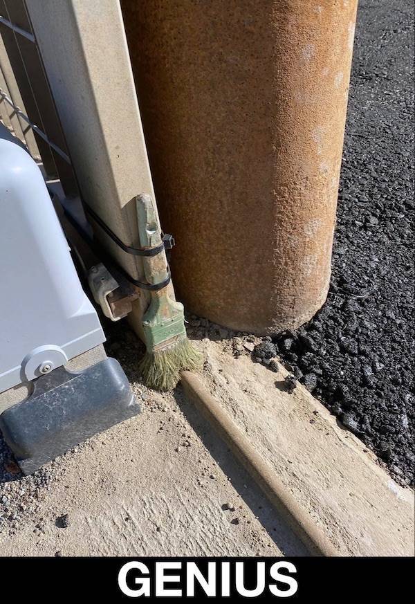 Wis-DUMB Memes at Maximum Capacity