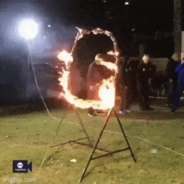 daily gifdump 56 gifs 2.html - 1 HD GIF | Premium Gallery 2026