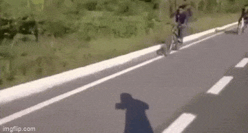 daily gifdump 56 gifs 2.html - 1 HD GIF | Premium Gallery 2026