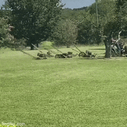 daily gifdump 56 gifs 2.html - 1 HD GIF | Premium Gallery 2026