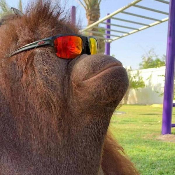 daily picdump 37 pics 4.html - 37 HD Photos | Premium Gallery 2026