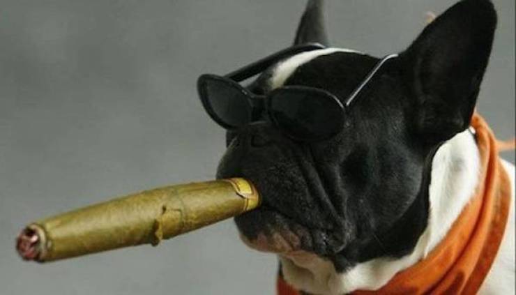 daily picdump 37 pics 4.html - 37 HD Photos | Premium Gallery 2026